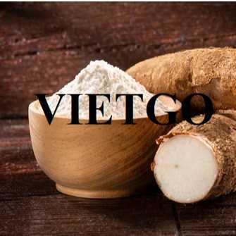 Cơ hội giao thương xuất khẩu tinh bột sắn đến thị trường Trung Quốc