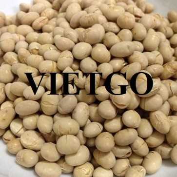 Cơ hội hợp tác cho đơn hàng xuất khẩu đậu nành tới thị trường Việt Nam