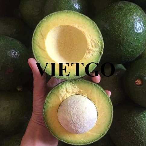 Cơ hội hợp tác xuất khẩu bơ tươi sang thị trường Ả Rập Xê Út