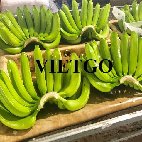 Cơ hội hợp tác xuất khẩu chuối tươi sang thị trường Ả Rập Xê Út