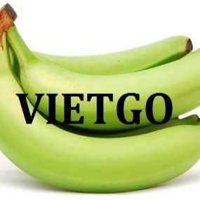 Cơ hội hợp tác xuất khẩu chuối tươi tới thị trường Ả Rập Xê Út 