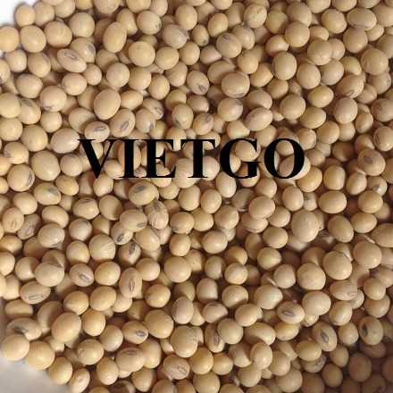 Cơ hội hợp tác xuất khẩu đậu nành đến thị trường Việt Nam