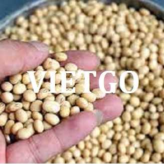 Cơ hội hợp tác xuất khẩu đậu nành sang thị trường Indonesia