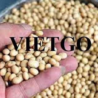 Cơ hội hợp tác xuất khẩu đậu nành sang thị trường Trung Quốc