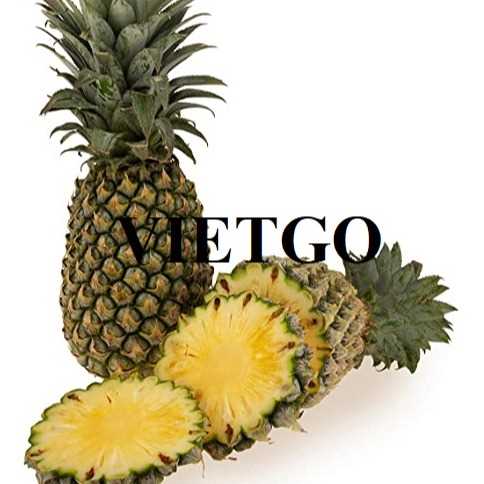 Cơ hội hợp tác xuất khẩu dứa tươi sang thị trường Ả Rập Xê Út