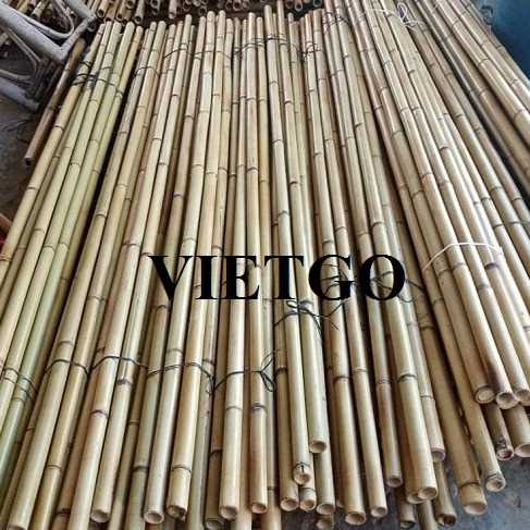 Cơ hội hợp tác xuất khẩu gậy tre cùng vị khách hàng đến từ Ả Rập Xê Út
