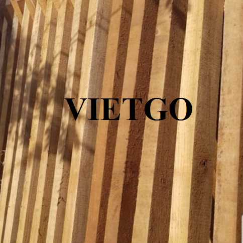 Cơ hội hợp tác xuất khẩu gỗ teak xẻ cùng vị khách hàng người Hoa Kỳ