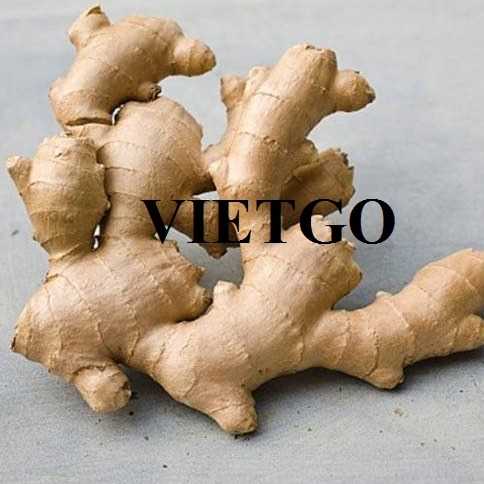 Cơ hội hợp tác xuất khẩu gừng tới thị trường Bangladesh  