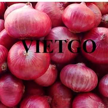 Cơ hội hợp tác xuất khẩu hành sang thị trường Ấn Độ