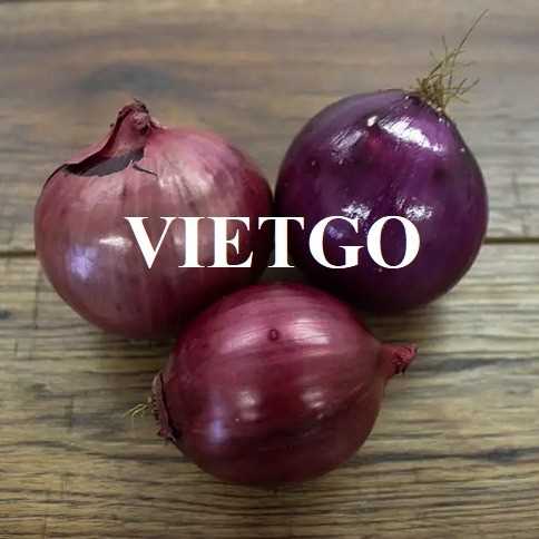 Cơ hội hợp tác xuất khẩu hành tím đến thị trường Ấn Độ