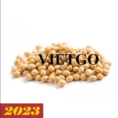 Cơ hội hợp tác xuất khẩu hạt đậu nành sang thị trường Ai Cập