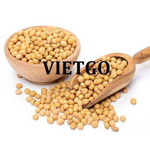 Cơ hội hợp tác xuất khẩu hạt đậu nành tới thị trường Trung Quốc