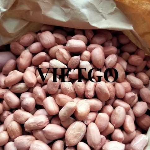 Cơ hội hợp tác xuất khẩu hạt lạc đến thị trường Trung Quốc