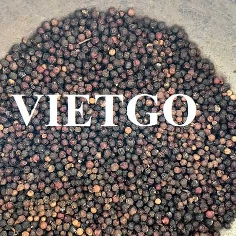 Cơ hội hợp tác xuất khẩu hạt tiêu đến từ vị khách hàng người Ấn Độ