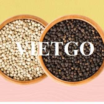 Cơ hội hợp tác xuất khẩu hạt tiêu sang thị trường Ấn Độ