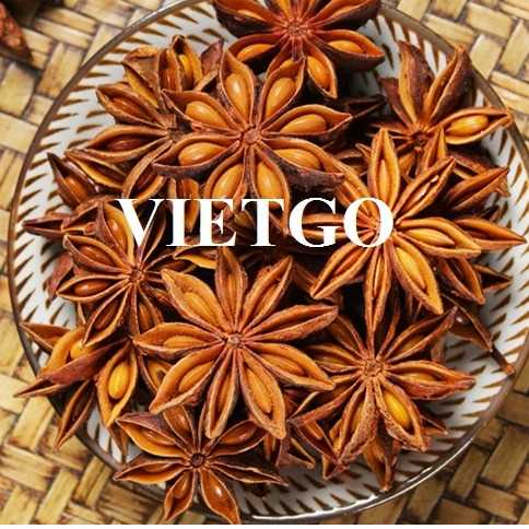 Cơ hội hợp tác xuất khẩu hoa hồi đến thị trường Trung Quốc