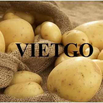 Cơ hội hợp tác xuất khẩu khoai tây cùng vị khách hàng đến từ Ukraine 