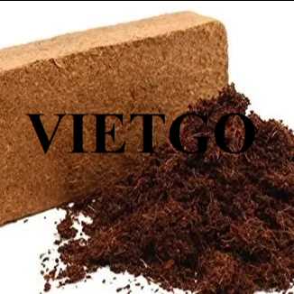Cơ hội hợp tác xuất khẩu mụn xơ dừa sang thị trường Hàn Quốc