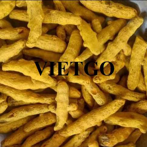 Cơ hội hợp tác xuất khẩu nghệ tới thị trường UAE