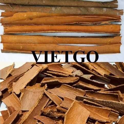 Cơ hội hợp tác xuất khẩu quế sang thị trường Ấn Độ