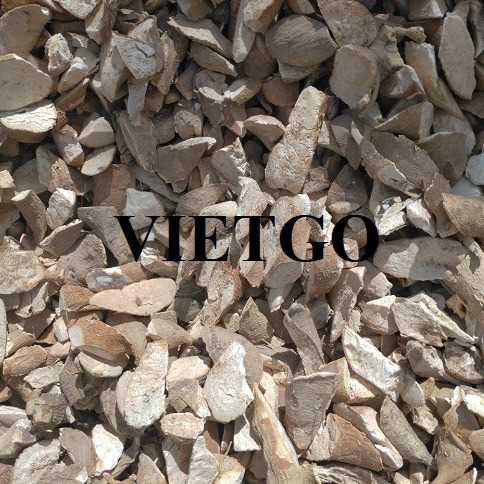 Cơ hội hợp tác xuất khẩu sắn lát hàng tháng sang thị trường Trung Quốc