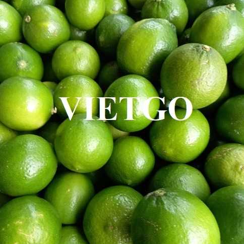 Cơ hội hợp tác xuất khẩu sản phẩm chanh sang thị trường Ả Rập Xê Út