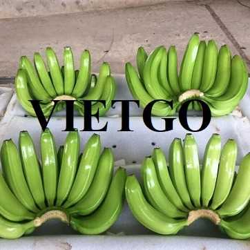 Cơ hội hợp tác xuất khẩu sản phẩm chuối sang thị trường Ả Rập Xê Út