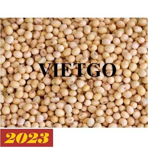 Cơ hội hợp tác xuất khẩu đậu nành sang thị trường Trung Quốc