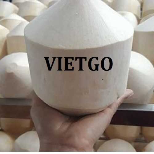 Cơ hội hợp tác xuất khẩu sản phẩm dừa tươi cùng vị khách hàng đến từ Malaysia
