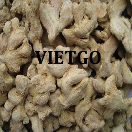 Cơ hội hợp tác xuất khẩu sản phẩm gừng khô tới thị trường Hoa Kỳ