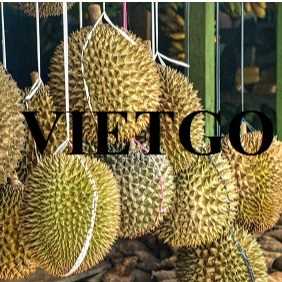 Cơ hội hợp tác xuất khẩu sầu riêng sang thị trường Indonesia