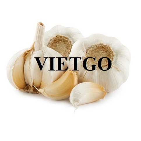 Cơ hội hợp tác xuất khẩu tỏi sang thị trường Ấn Độ