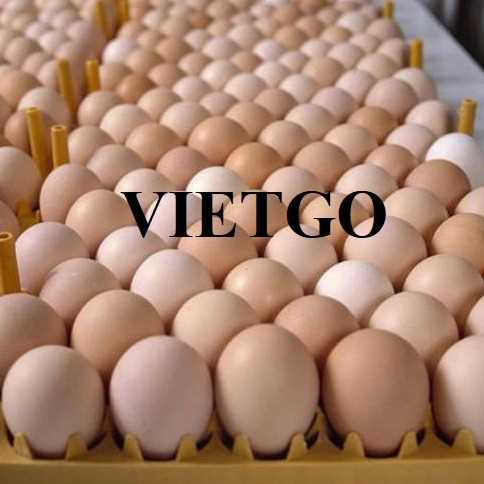 Cơ hội hợp tác xuất khẩu trứng gà cùng vị khách hàng đến từ Thái Lan