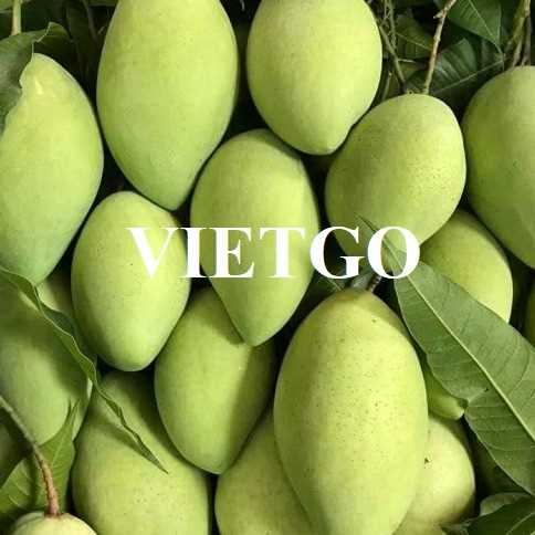 Cơ hội hợp tác xuất khẩu xoài đến Vương quốc Anh