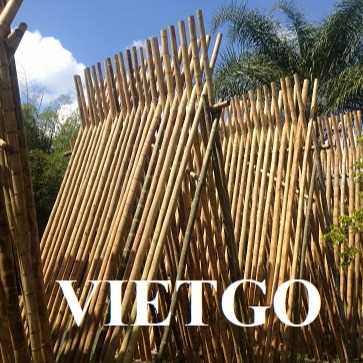 Cơ hội trở thành nhà cung cấp xuất khẩu 50.000 gậy tre sang thị trường Mỹ