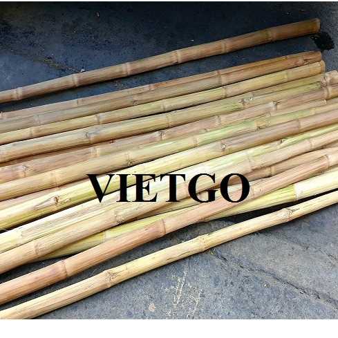 Cơ hội xuất khẩu 1 container 40ft gậy tre sang thị trường Dubai