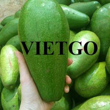 Cơ hội xuất khẩu bơ sang thị trường Ả Rập Xê Út