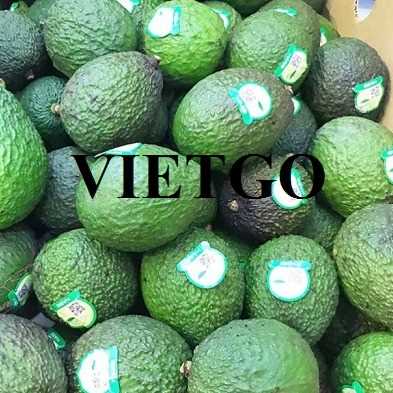 Cơ hội xuất khẩu bơ tươi đến thị trường Indonesia