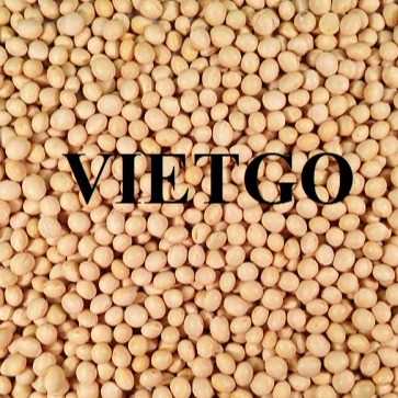 Cơ hội xuất khẩu đậu nành đến từ vị khách hàng người Anh