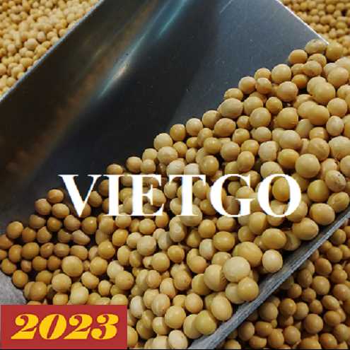Cơ hội xuất khẩu đậu nành đến từ vị khách hàng người Nhật Bản