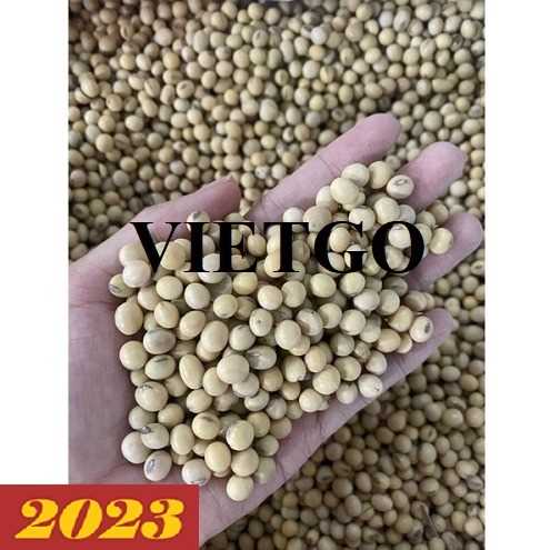 Cơ hội xuất khẩu đậu nành sang thị trường Trung Quốc