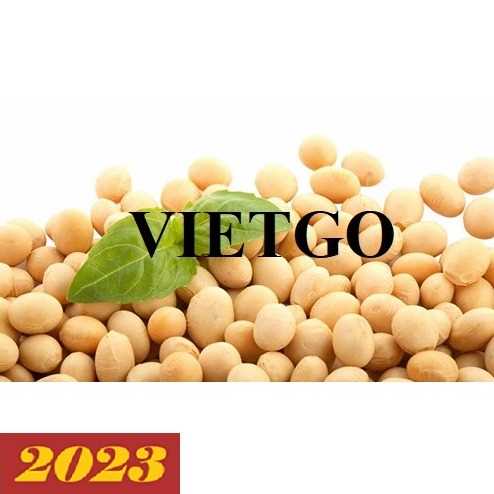 Cơ hội xuất khẩu đậu nành sang thị trường Trung Quốc