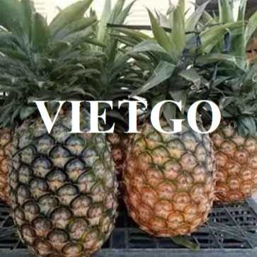Cơ hội xuất khẩu dứa sang thị trường Tây Ban Nha