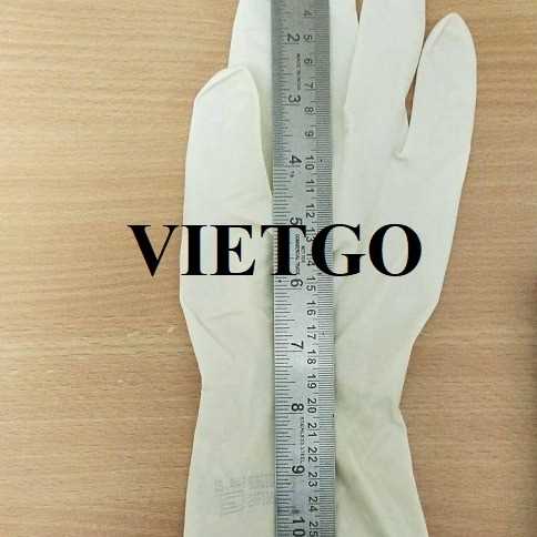 Cơ hội xuất khẩu găng tay cao su sang thị trường Singapore và Ấn Độ 