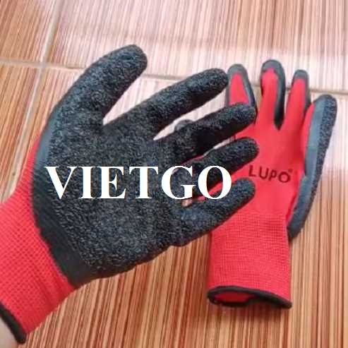 Cơ hội xuất khẩu găng tay lao động tới thị trường Hungary 