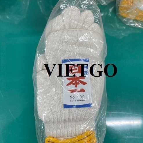 Cơ hội xuất khẩu găng tay vải số lượng lớn đến Nhật Bản 