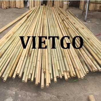 Cơ hội xuất khẩu gậy tre sang thị trường Ả Rập Xê Út