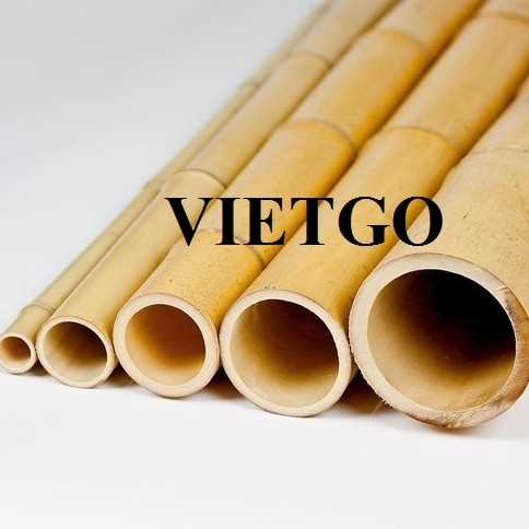 Cơ hội xuất khẩu gậy tre sang thị trường Ả Rập Xê Út