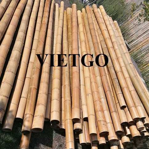 Cơ hội xuất khẩu gậy tre sang thị trường Bồ Đào Nha