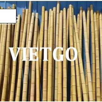 Cơ hội xuất khẩu gậy tre sang thị trường Cộng hòa Bulgaria
